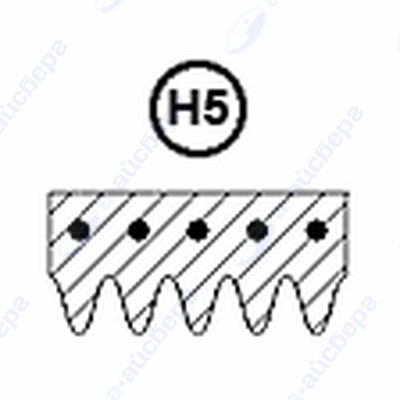 Ремень 1884 Н5 1255028100 1.11.000.102